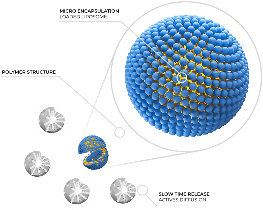 Microencapsulation-with-Liposomes-and-slow-release-V2